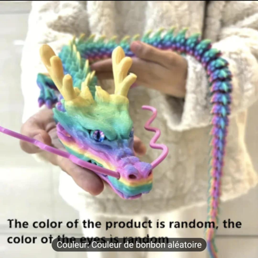 Impression 3D ( dragon 90 cm )