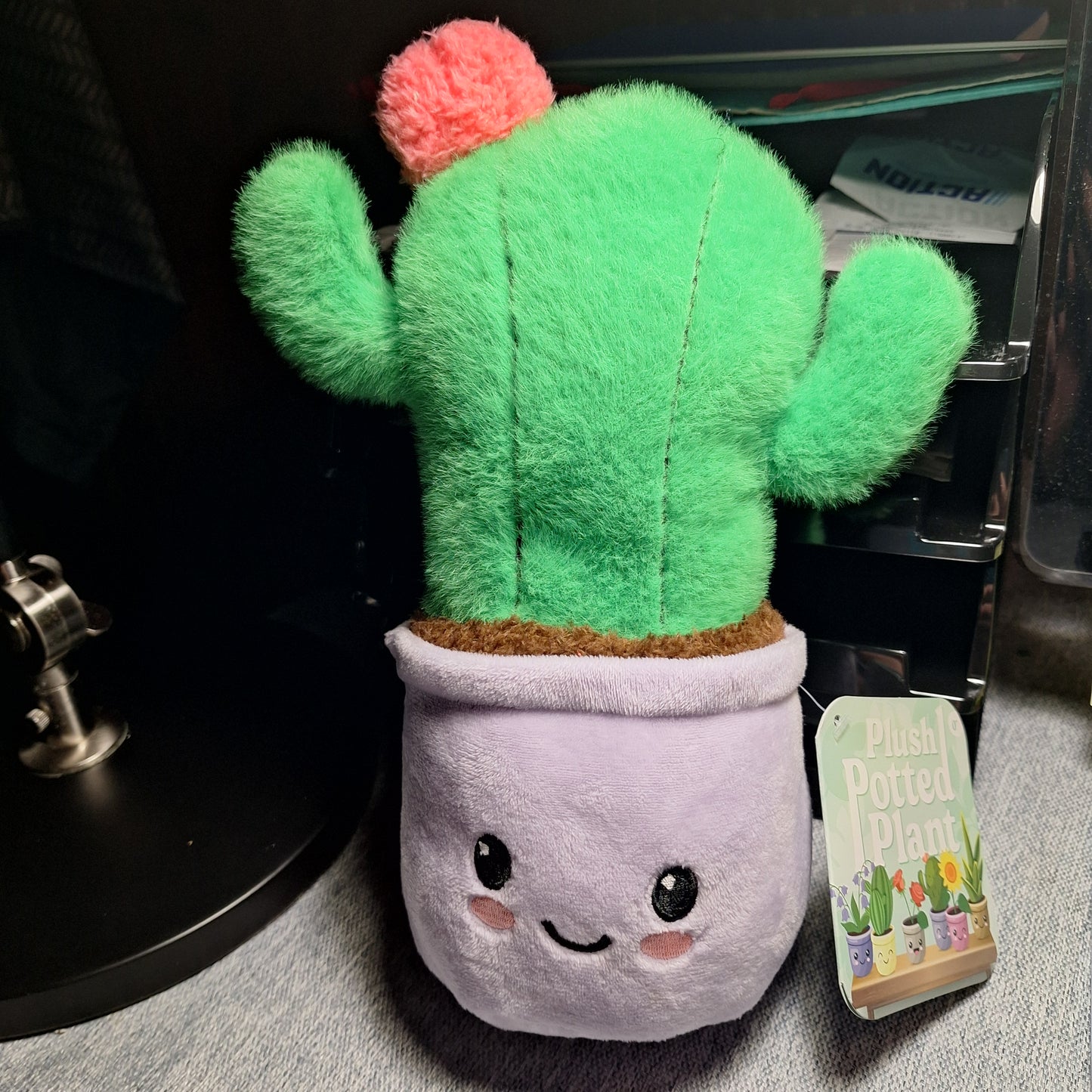 Peluche ( Plantes en Pot )