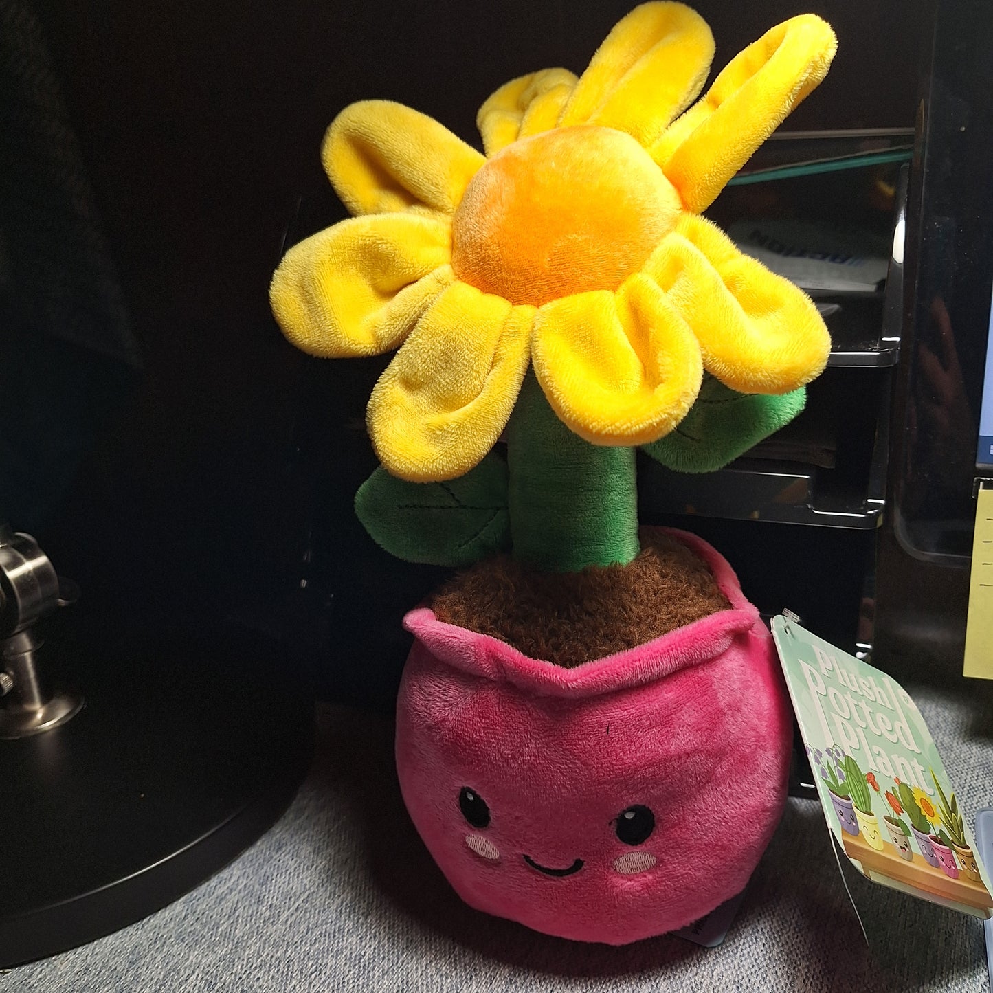 Peluche ( Plantes en Pot )