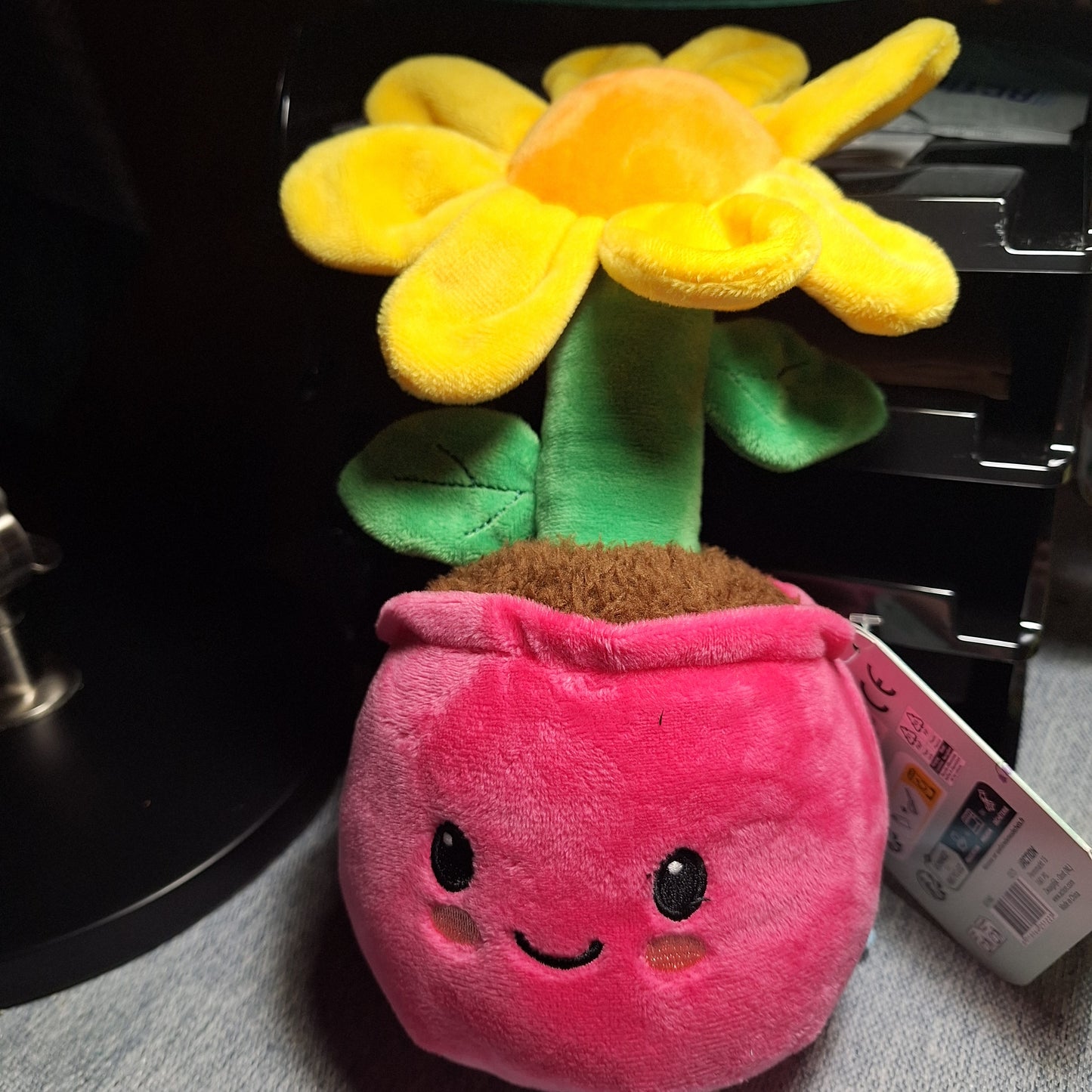 Peluche ( Plantes en Pot )