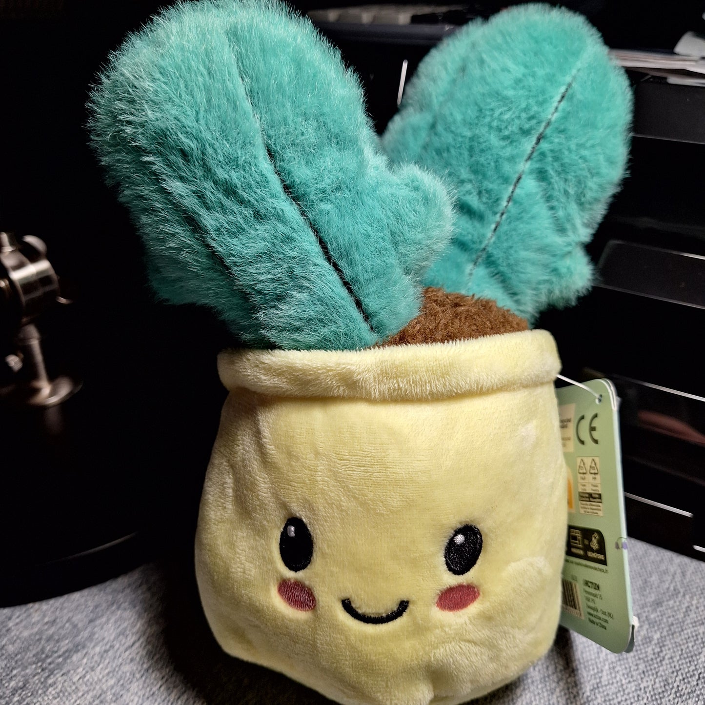 Peluche ( Plantes en Pot )